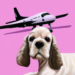 Wizz Air перевозка животных в 2023 году